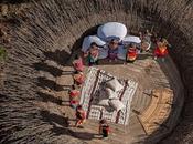 Bird Nest, Alojamiento Rustico Selva