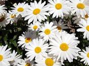 Teresa!! como, todos Uds, acordaron mí.!!