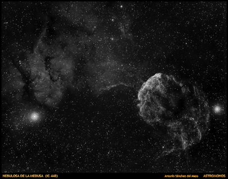 NEBULOSA DE LA MEDUSA (IC 443)