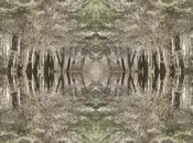 Venerdí Photosatriani