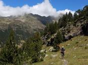 Vado Hospital Fuentes Alba Carretera Besurta