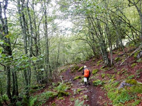 Ruta circular al Ibón de Estanés desde Sansanet Ruta circular al Ibón de Estanés desde Sansanet