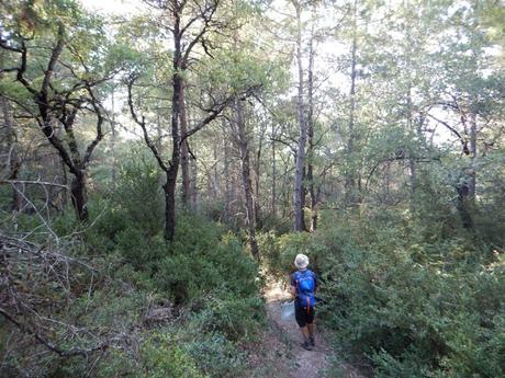 De Coscojuela de Sobrarbe al Cerro San Miguel