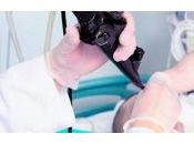 Cómo tratar intoxicación alimentaria hogar