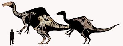 Paleoficha: Deinocheirus mirificus