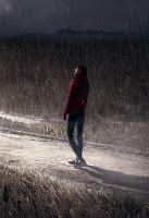 Reseña: Sueños - Robert L. Anderson