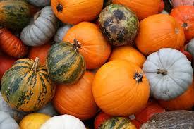 Calabaza de otoño, betacaroteno, vitaminas y salud