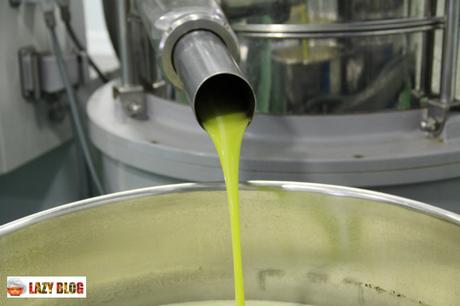 Rutas del aceite. Turismo gastronómico y oleoturismo en la provincia de Jaén