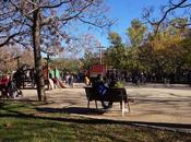 Parque mercader cornellà