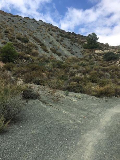 Nos vamos de Excursión, senderista, senderismo, montaña, ruta, ruta de la sal, albatera, Rambla de la sal, excursión, salida, montañismo, trekking, salida en familia, salida al campo, sitios con encanto, haz deporte, deporte, acueducto, rambla salada, canalon rambla salada, surgencias, pozos, acueductos, dolomias, calizas, areniscas, sales del trias keuper, barron negro, estrecho de las ventanas, 