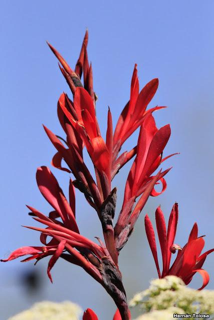 Reserva Natural Laguna de  San Vicente (noviembre 2016)