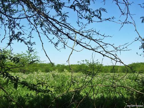 Reserva Natural Laguna de  San Vicente (noviembre 2016)