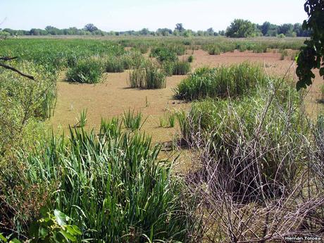 Reserva Natural Laguna de  San Vicente (noviembre 2016)