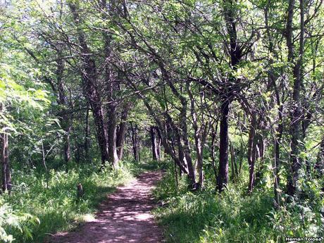 Reserva Natural Laguna de  San Vicente (noviembre 2016)