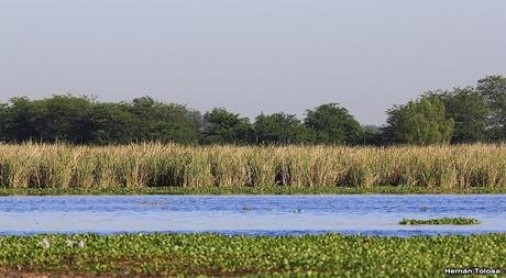 Reserva Natural Laguna de  San Vicente (noviembre 2016)