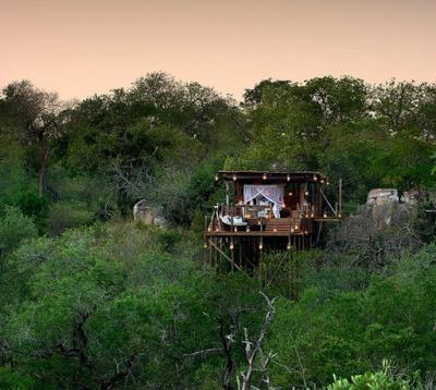 Kingston Tree House, un Hotel Rustico