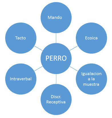 Conducta verbal en el campo del autismo
