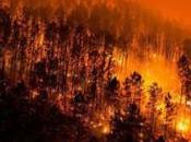 "Incendios Asturias Galicia"