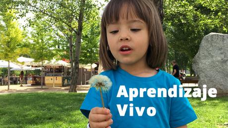 Aprendizaje Vivo: Cómo Aprenden Realmente los Niños y Niñas