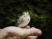 ¿Han desaparecido empatía compasión?