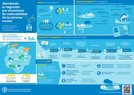 Invertir en seguridad alimentaria y desarrollo rural para frenar las migraciones