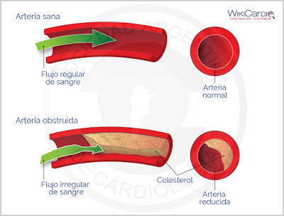 ¿Qué números debemos conocer para cuidar Nuestra Salud?