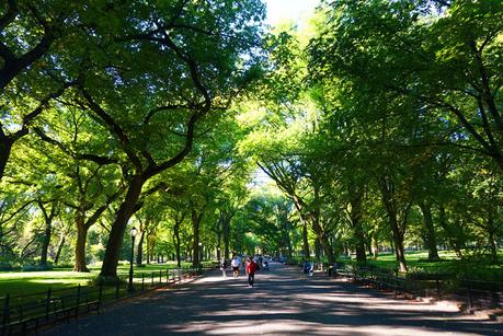 Soba-Ya New York Soba-Ya New York