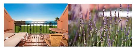 Pollution Free hotel Fuerte Marbella