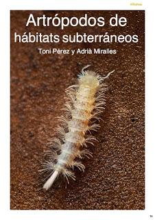 Artrópodos de hábitats subterráneos Artrópodos de hábitats subterráneos