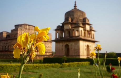 Viajar a India con conductor: experiencia y recorrido orchha-flor