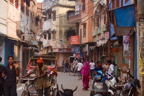 Viajar a India con conductor: experiencia y recorrido pura-india