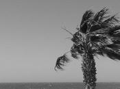 lugar perfecto para morir