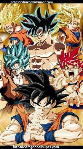 imagenes de goku fase dios para descargar transformaciones