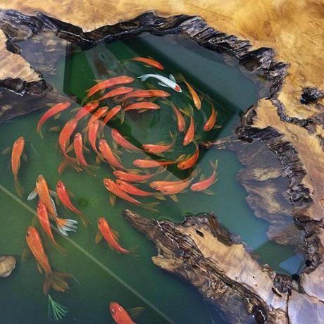 Pintura 3D de peces crean la ilusion de una pecera de madera
