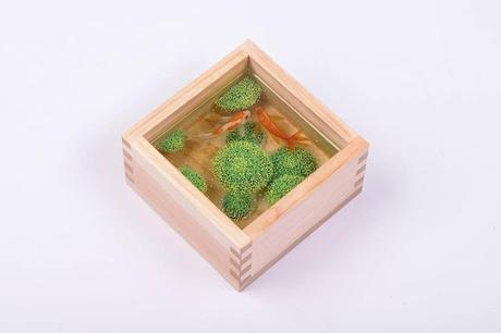 Pintura 3D de peces crean la ilusion de una pecera de madera