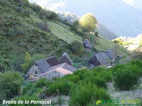 El CORNÓN y CORNÍN por CEREIZALES desde VILLAR DE VILDAS Ruta al Cornón por el Valle los Cereizales: Braña de la Pornacal