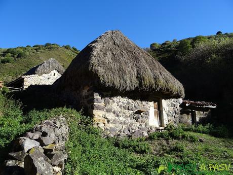 El CORNÓN y CORNÍN por CEREIZALES desde VILLAR DE VILDAS Ruta al Cornón por el Valle los Cereizales: Teito en la Braña de la Pornacal