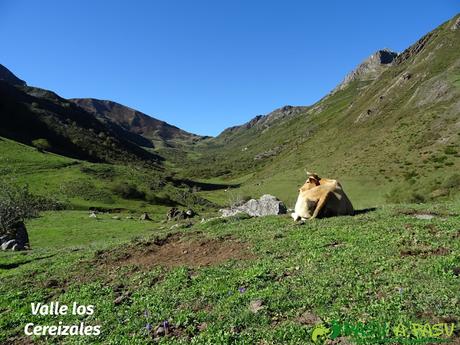 El CORNÓN y CORNÍN por CEREIZALES desde VILLAR DE VILDAS Ruta al Cornón por el Valle los Cereizales: Valle de Cereizales