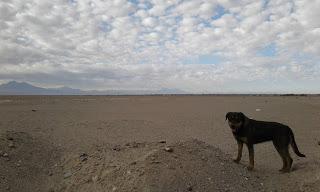 UNA CORTA VISITA A ATACAMA