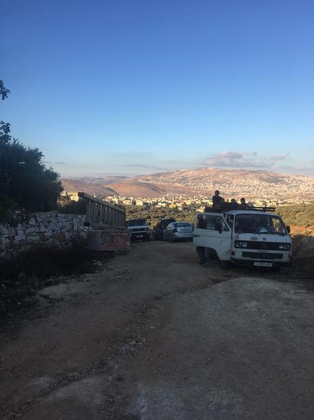 Israel ayuda a los palestinos en la recolección de aceitunas.