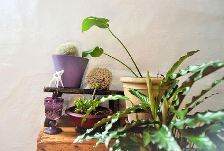 5 ANTIGÜEDADES IMPRESCINDIBLES PARA DECORAR TU CASA 5 ANTIGÜEDADES IMPRESCINDIBLES PARA DECORAR TU CASA