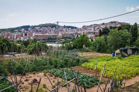 Un paseo por la historia en el barrio de Horta en Barcelona Un paseo por la historia en el barrio de Horta en Barcelona