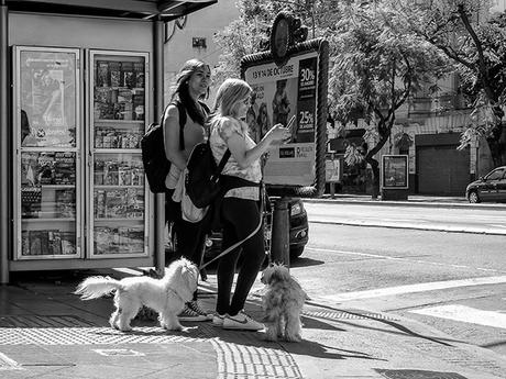Dos mujeres con dos mascotas esperando cruzar la calle.