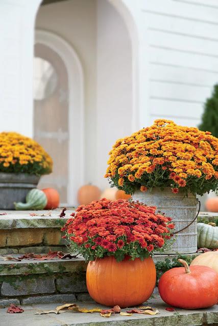 Las calabazas son para el otoño