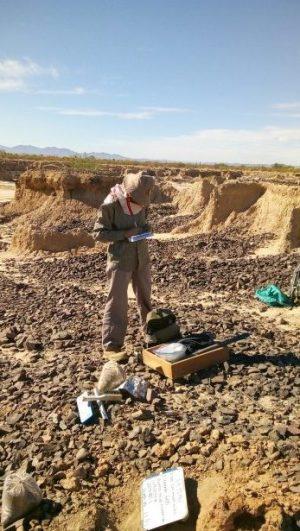 Encuentran en Sonora restos de maíz de hace 4.000 años