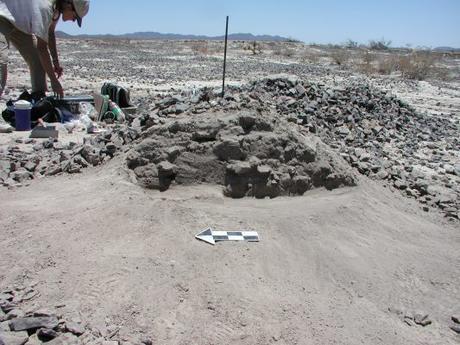 Encuentran en Sonora restos de maíz de hace 4.000 años Encuentran en Sonora restos de maíz de hace 4.000 años