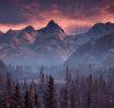 Nuevas imágenes de Horizon: Zero Dawn – The Frozen Wilds Nuevas imágenes de Horizon: Zero Dawn – The Frozen Wilds