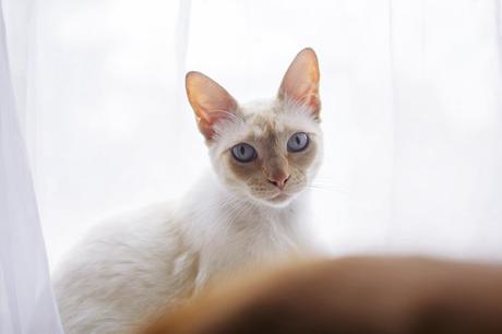 Life lately: Septiembre-Octubre Life lately: Septiembre-Octubre