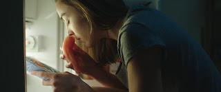 Crudo (Grave, Julia Ducournau, 2016. FR / BEL & ITA) Crudo (Grave, Julia Ducournau, 2016. FR / BEL & ITA)