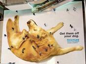 Concepto street marketing como medida salvación publicitaria